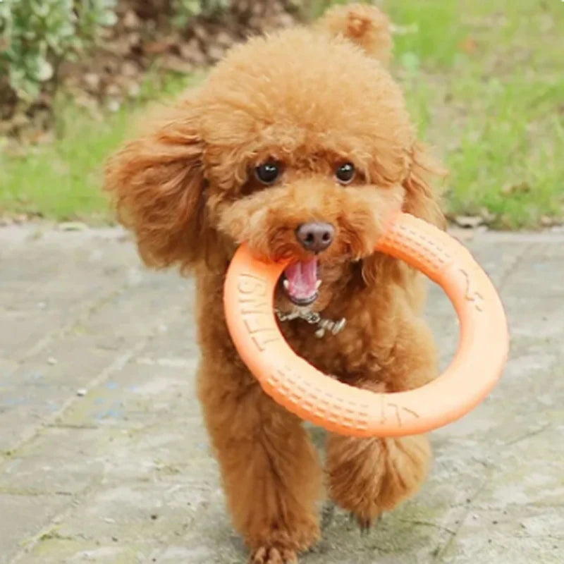 Training Flying Disk Pet Toys