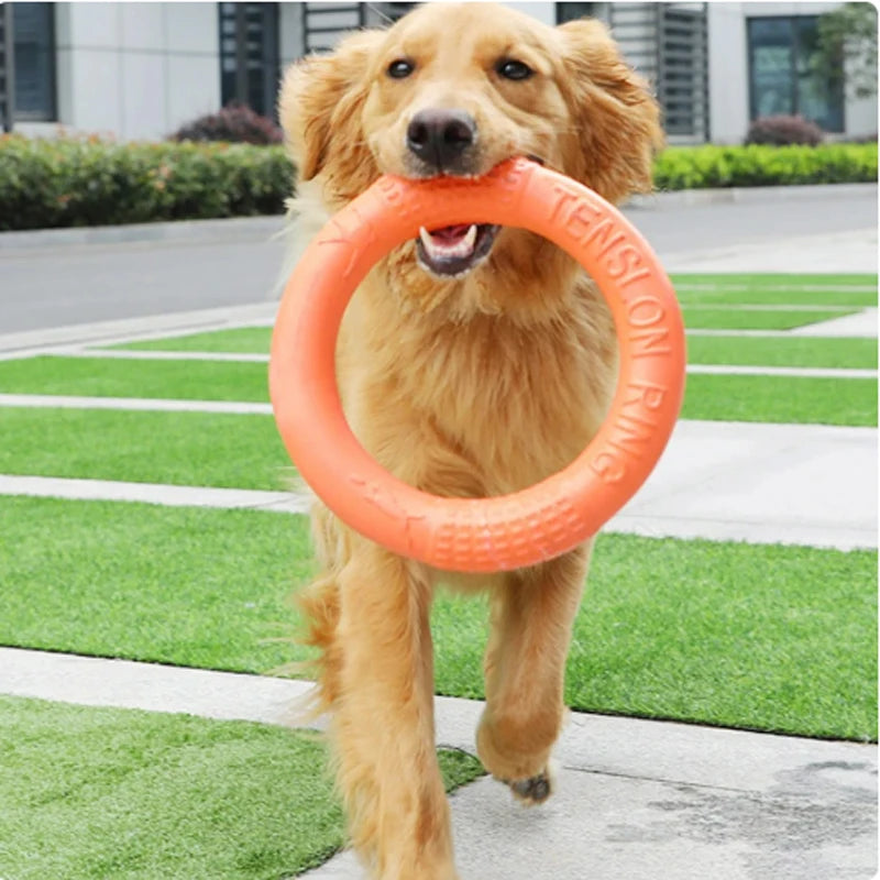 Training Flying Disk Pet Toys