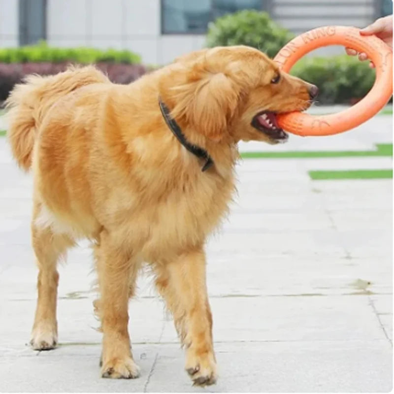 Training Flying Disk Pet Toys
