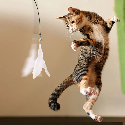 Interactive Bell & Feather Wand for Cats