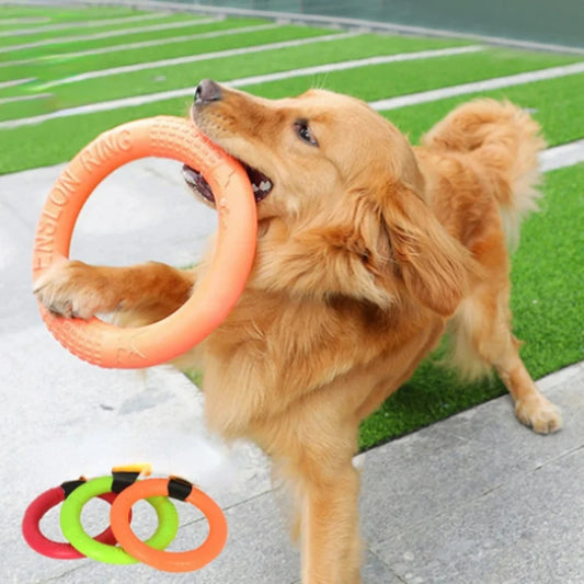 Training Flying Disk Pet Toys